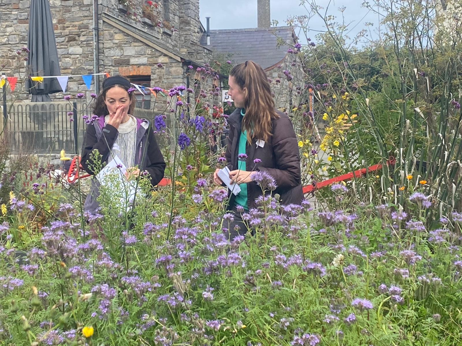 Skerries Mills Community Garden - Flowers and Bees