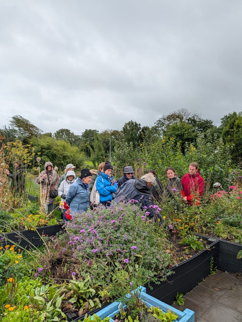 Skerries Mills Community Garden - Diverse Plant Species