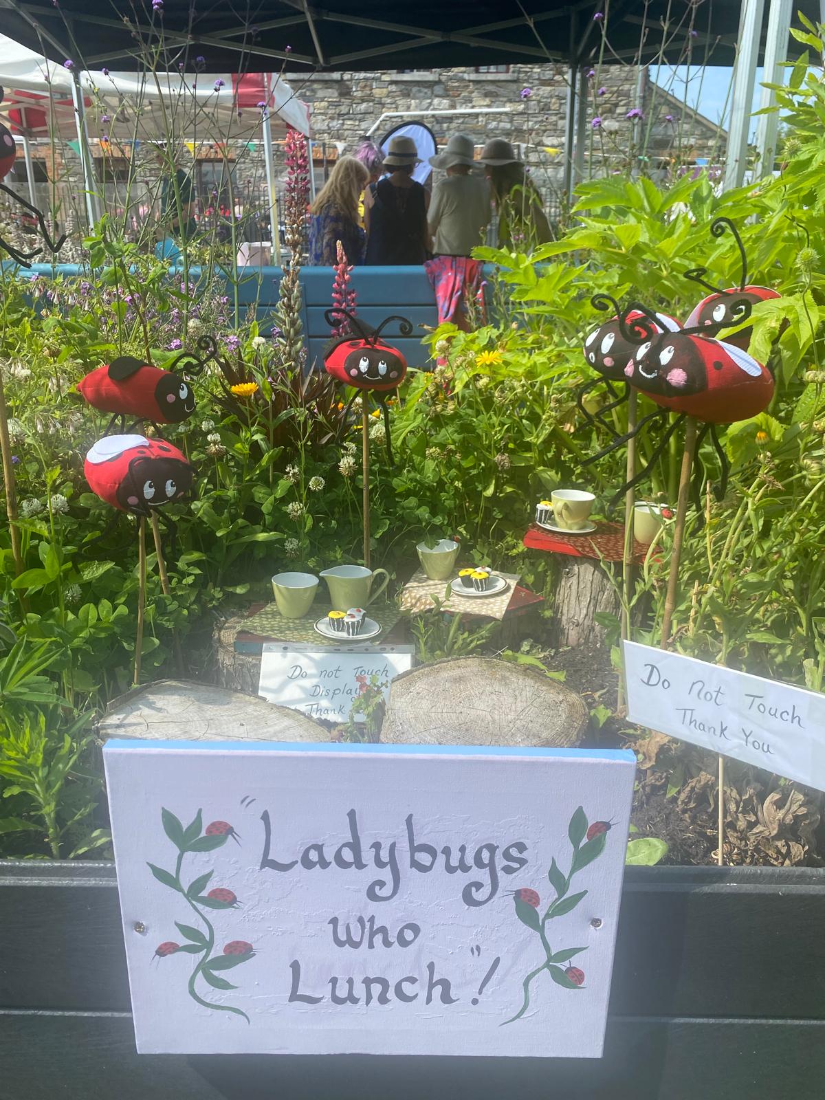 Skerries Mills Community Garden - Vibrant Flora