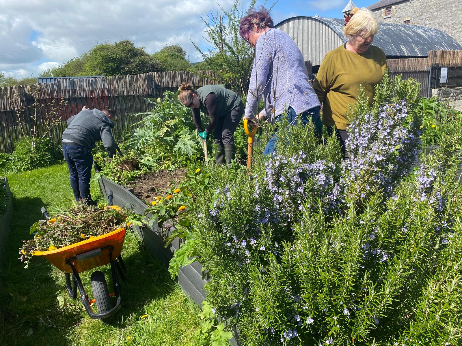 Skerries Mills Community Garden - Biodiversity in Action
