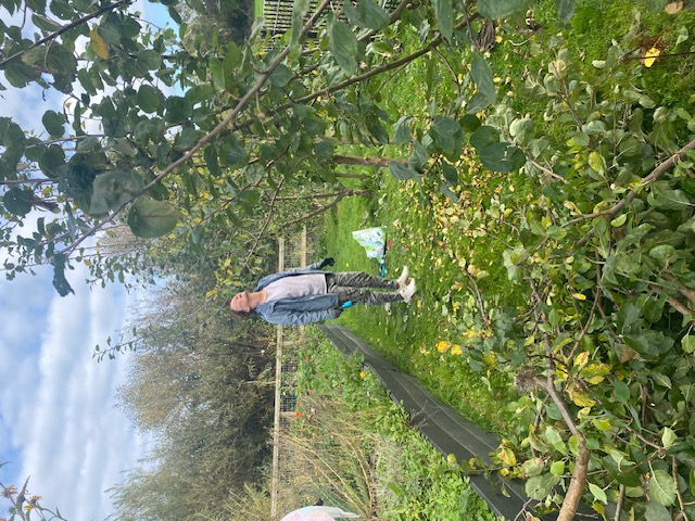 Skerries Mills Community Garden - Community Harvest
