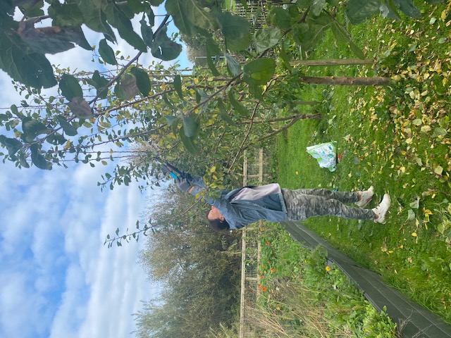Skerries Mills Community Garden - Workshop Session