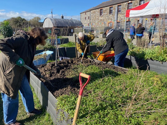 Skerries Mills Community Garden - Bee Habitat