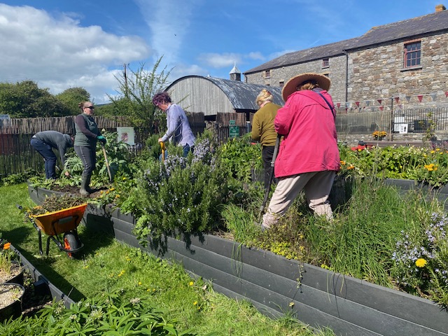 Skerries Mills Community Garden - Local Wildlife