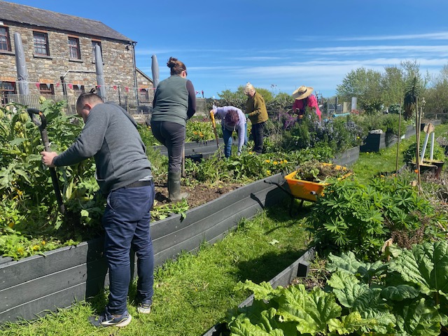 Skerries Mills Community Garden - Pollinator Support