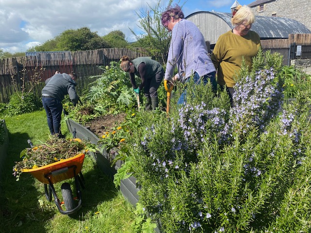 Skerries Mills Community Garden - Community Engagement