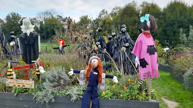 Scarecrows filling the flower beds at Skerries Mills Community Garden